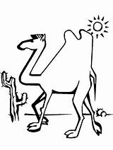 Kamelen sketch template