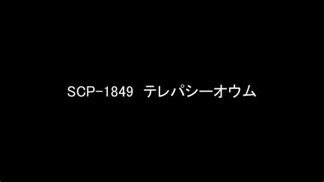 scp  scp foundation youtube