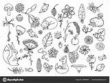 Drawing Vector Illustration Set Doodle Forest Animals Tangle Zen Stock Flowers Coloring Stress Meditative Exercises Anti Book Adults Creativemarket Clover sketch template