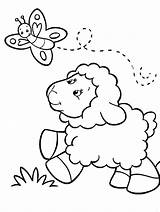 Lamb Coloring Pages Animals Printable Kids Sheep Baby Kb sketch template