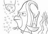 Nemo Gill Squirt Findet Ausmalen Zeichnen Dorie Fisch Aquarium Malvorlagen Coloringhome 4kids Advertisements sketch template