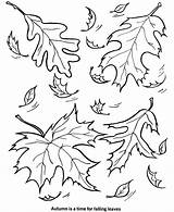 Coloring Leaf Pages Fall Printable Kids sketch template