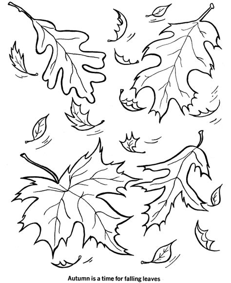 printable leaf coloring pages  kids