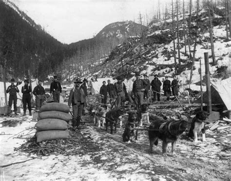 alaska gold rush  ncamp  gold prospectors   sled dogs   dyea canyon yukon
