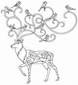Coloring Pages Enchanted Book Forest Basford Adults Books Mural Printable Drawing Garden Johanna Secret Deer Sheets Christmas Allen Iverson Getdrawings sketch template