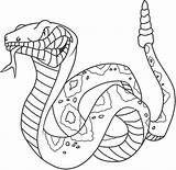 Drucken Schlangen Rattlesnake Zornige Ausdrucken Klapperschlange sketch template