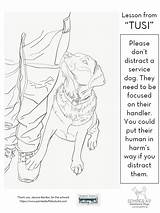Canines Crucial sketch template