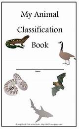 Animal Educacion Ciencias Classification Booklet Guardado Desde sketch template