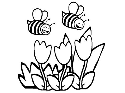 bumblebee coloring pages clipart