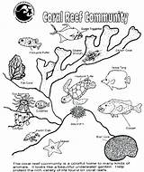 Ecosystem Drawing Labels Printable Coloring Reef Coral Getdrawings Pages sketch template