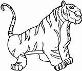 Tiger Siberian Colornimbus sketch template