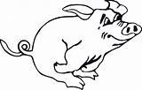 Pig Running Clker Clip Outline Clipart sketch template