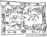 Wetland Drawing Marsh Coloring Wetlands Cartoon May Pages Getdrawings Drawings Childrens Children Attachments sketch template