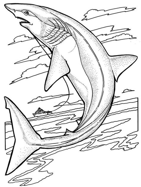 printable shark coloring pages  kids shark coloring pages