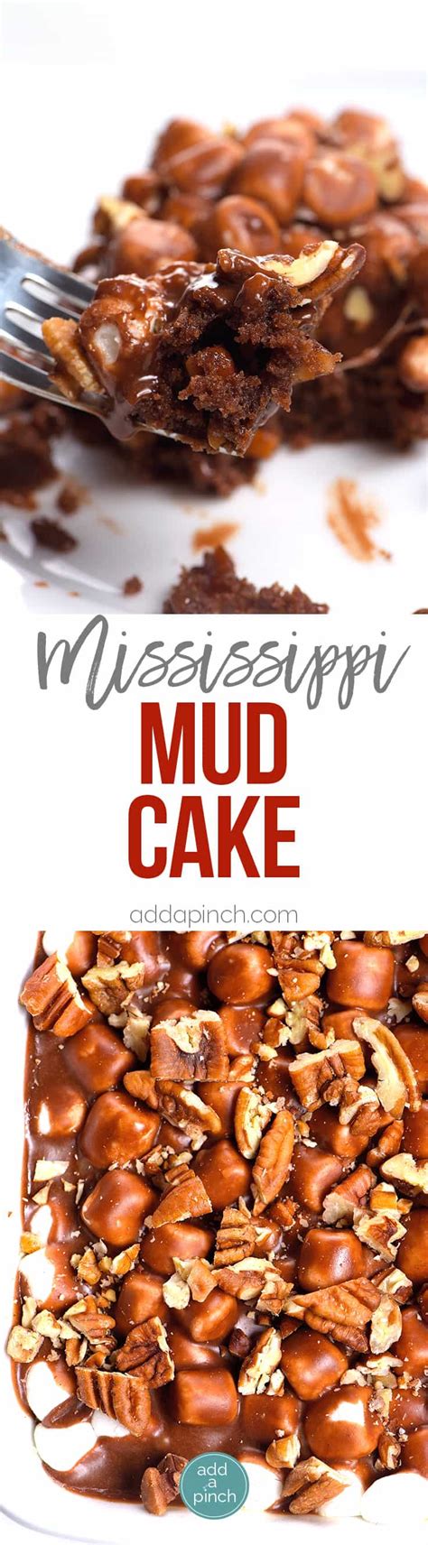 mississippi mud cake recipe add  pinch