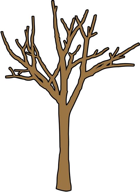 bare brown tree clipart