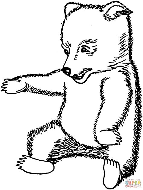 brown bear cub coloring page  printable coloring pages