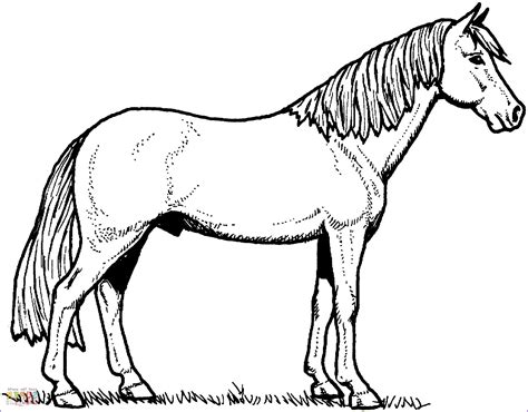 awesome  printable horse coloring pages photography horse