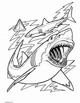 Tiburones Tiburón Imágenes sketch template