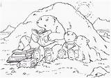 Bear Polar Coloring Pages Printable Kids Bears Little Lars Hibernating Cute Colouring Animals Sheets Penguin Popular sketch template