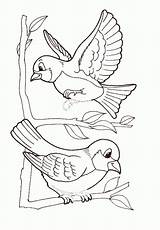 Oiseau Oiseaux Pajaros Pajaritos Uccelli Aves Lecturas Cortas Pájaros Animales Coloriages Comprensivas Rajz Tiernos Copiare Pajaro Vogel Paisaje Canari Nest sketch template