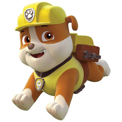 kids tv meet  favorite paw patrol characters