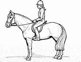Pferd Pferde Reiter Reiterin Dressur Drucken Malvorlage Sattel Rider Malvorlagen Malen Haflinger Tiere Reiten 1ausmalbilder Saddle sketch template