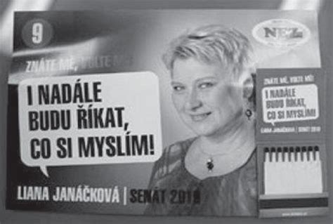 A Campaign Poster From An Election For The Senate Of The Czech Republic