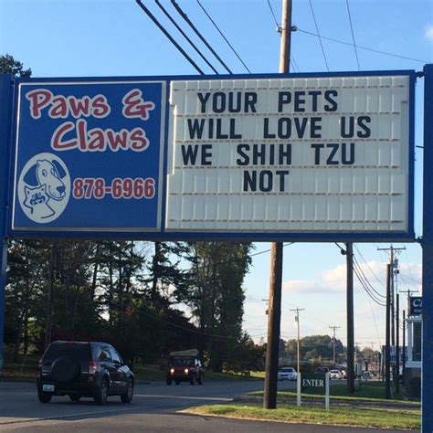 18 hilarious and real veterinary signs found around the country
