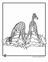 Coloring Baby Giraffes Giraffe Pages sketch template