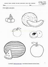 Fruits Worksheet Fudge sketch template
