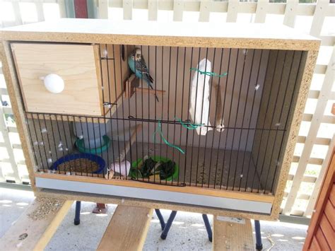 breeding cage  retrofitting diy bird cage bird cage design bird cages parakeet cage