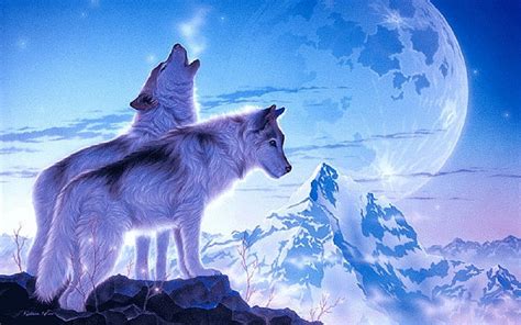 wolves  winter image id  image abyss
