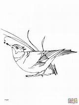 Oboe Getdrawings Coloring House Bird Plans sketch template