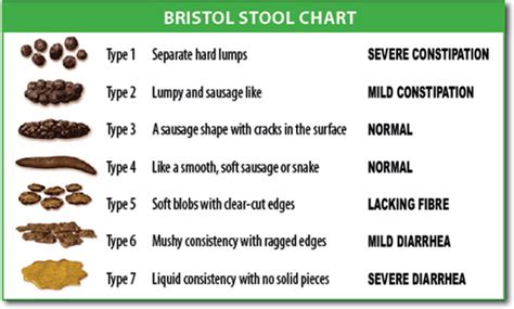 bristol stool scale facts  kids