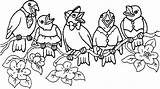 Vogel Uccelli Ausmalbild Malvorlagen Oiseau Vogelhochzeit Pages Malvorlage Disegno Coloriages Voegel Colorare Burung Mewarnai Animasi Bergerak Singender Animaatjes Stampa Coloratutto sketch template