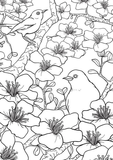 freebie spring birds  flowers coloring page coloring pages