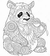 Panda Coloring Pages Animal Bear Printable sketch template