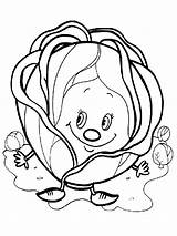 Cabbage Coloring Pages Template Print Vegetables Kids sketch template
