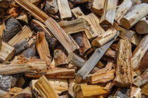 comment se debarrasser de la moisissure sur le bois de chauffage guide facile en  etapes