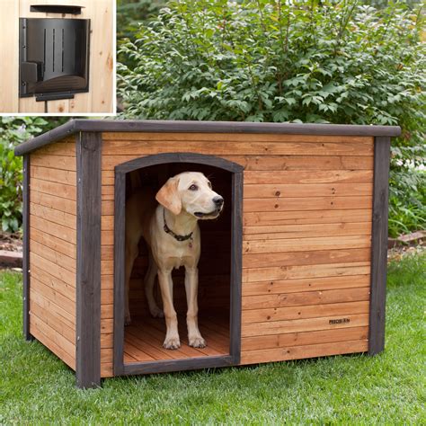 pictures  dog houses give  inspirations  selecting   house   lovely dog