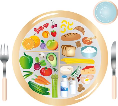 balanced diet plate wholesale discounts save  jlcatjgobmx