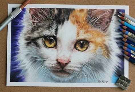 cute kittens  puppies drawings   puppy drawing pencil