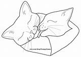 Cuddling Cats Digi Stamp Katze Kuscheln Ausmalbild sketch template
