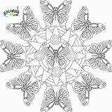Mandala Coloring Butterfly Pages Printable Animal Mandalas Template Print Book Adult Adults Butterflies Abstract Library Clipart Popular Getdrawings Colors Zentangle sketch template
