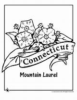 State Coloring Flower Pages Carolina North Connecticut Ohio Symbols Printable Getcolorings Flowers Color Laurel Mountain Kids sketch template