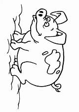 Cerdo Maiale Varken Colorare Schwein Cochino Disegno Cochon Siluetas Educolor Educima Coloriage Educol Ausmalbilder sketch template