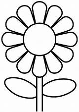 Sunflower Color Clipart Coloring Printable Colouring Pages Easy Library Flowers sketch template