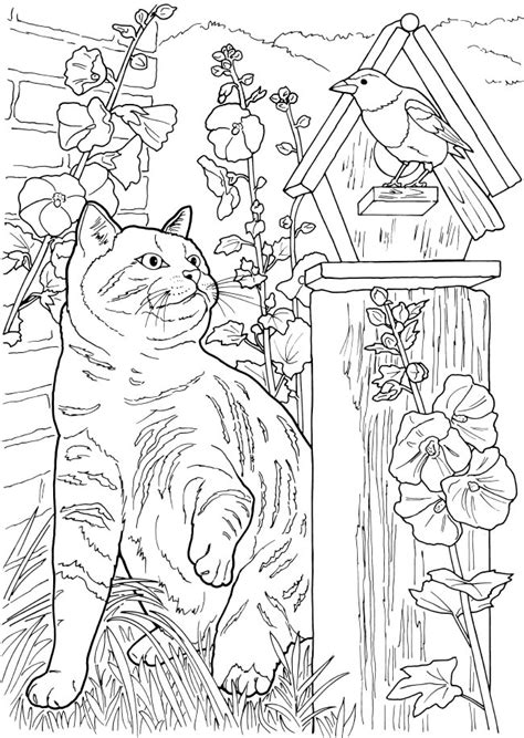 dragonfly treasure lovable cats  dogs coloring pages