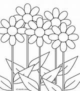 Daisy Putih Hitam Mewarnai Diwarnai Daisies Sunflowers Halaman Inilah Bangkai Raflesia Mawar Storey Lukisan Sketsa sketch template